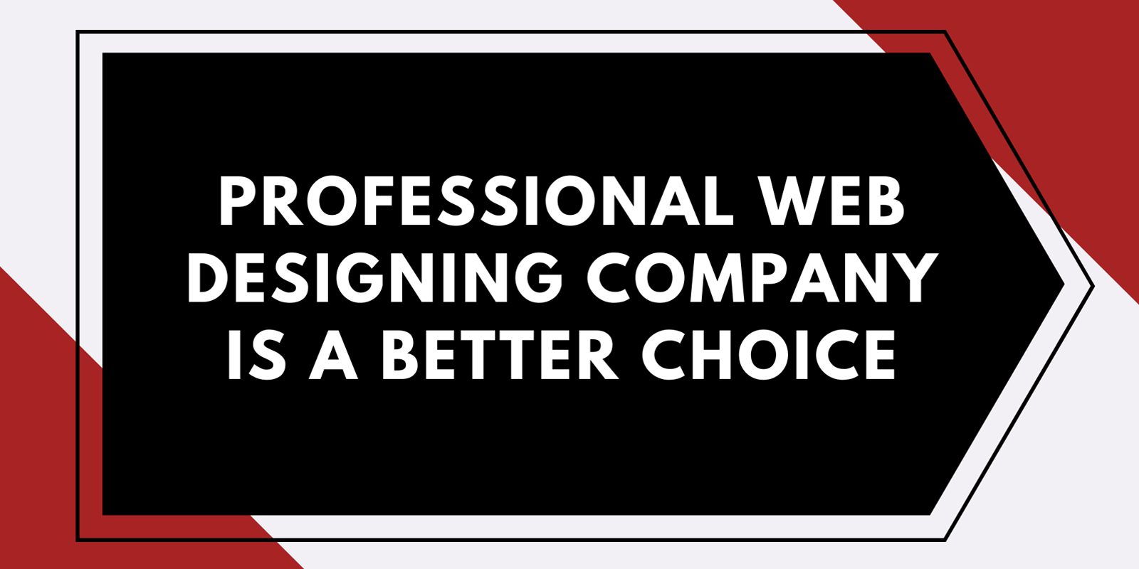 why-professional-web-designing-company-is-better-choice